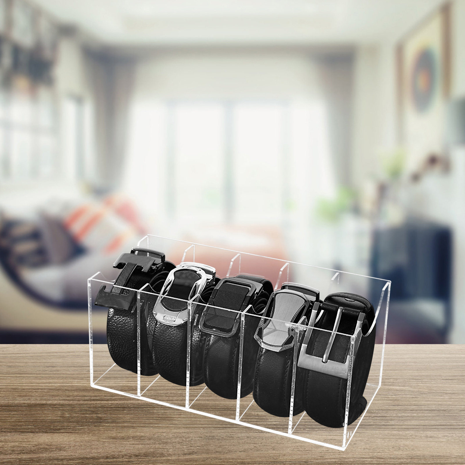 5-Compartment Transparent Belt - đánh giá và giá Men Accessories Box